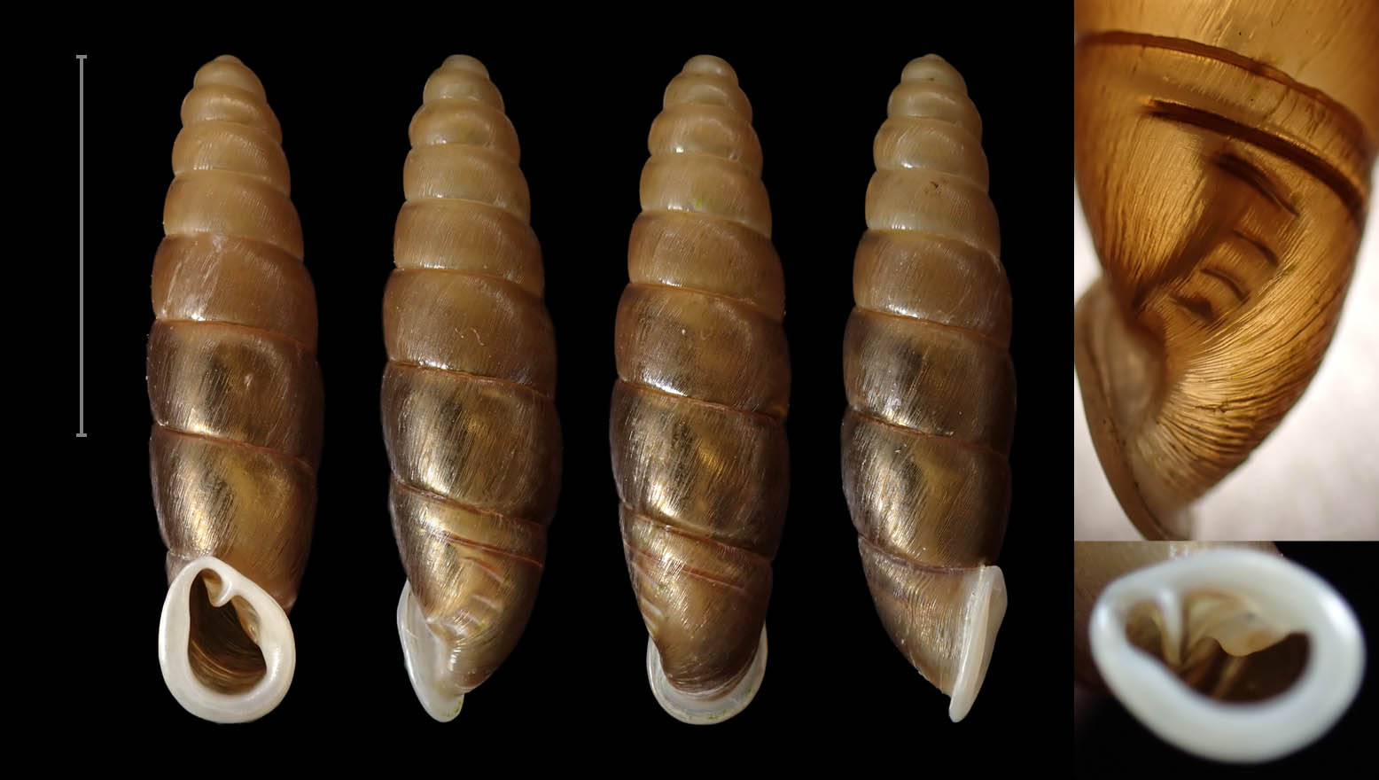 金刀峡镇 17.5 mm