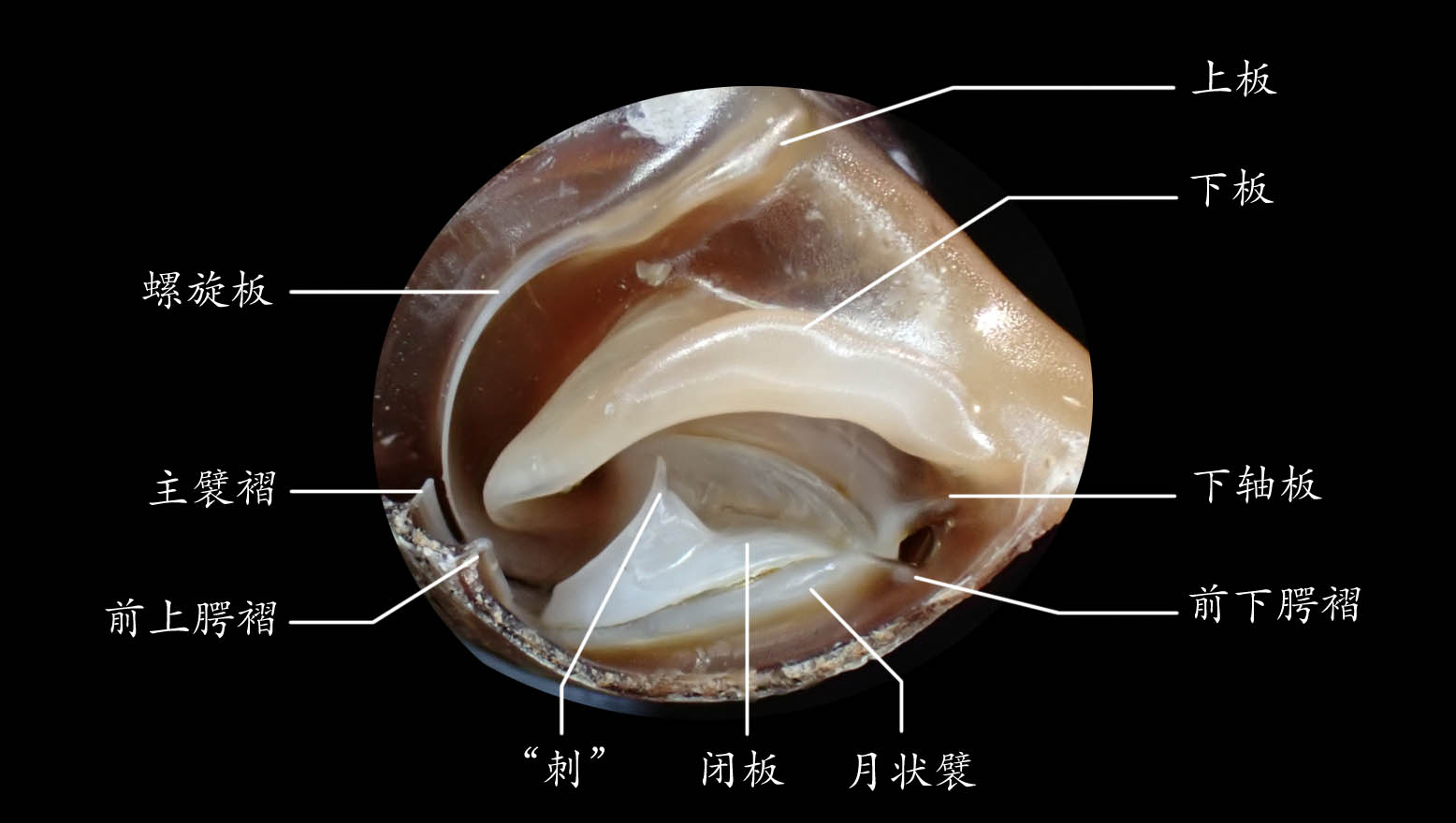 闭板细节